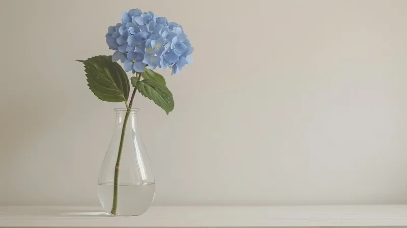 ミニマルな背景に映える紫陽花の一輪挿し, minimal background hydrangea vase