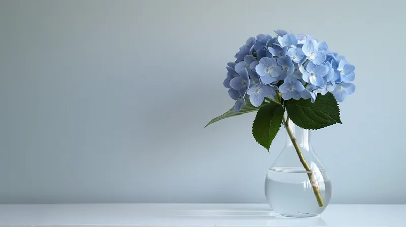 白のシンプルな背景とアジサイ, minimal white background hydrangea vase